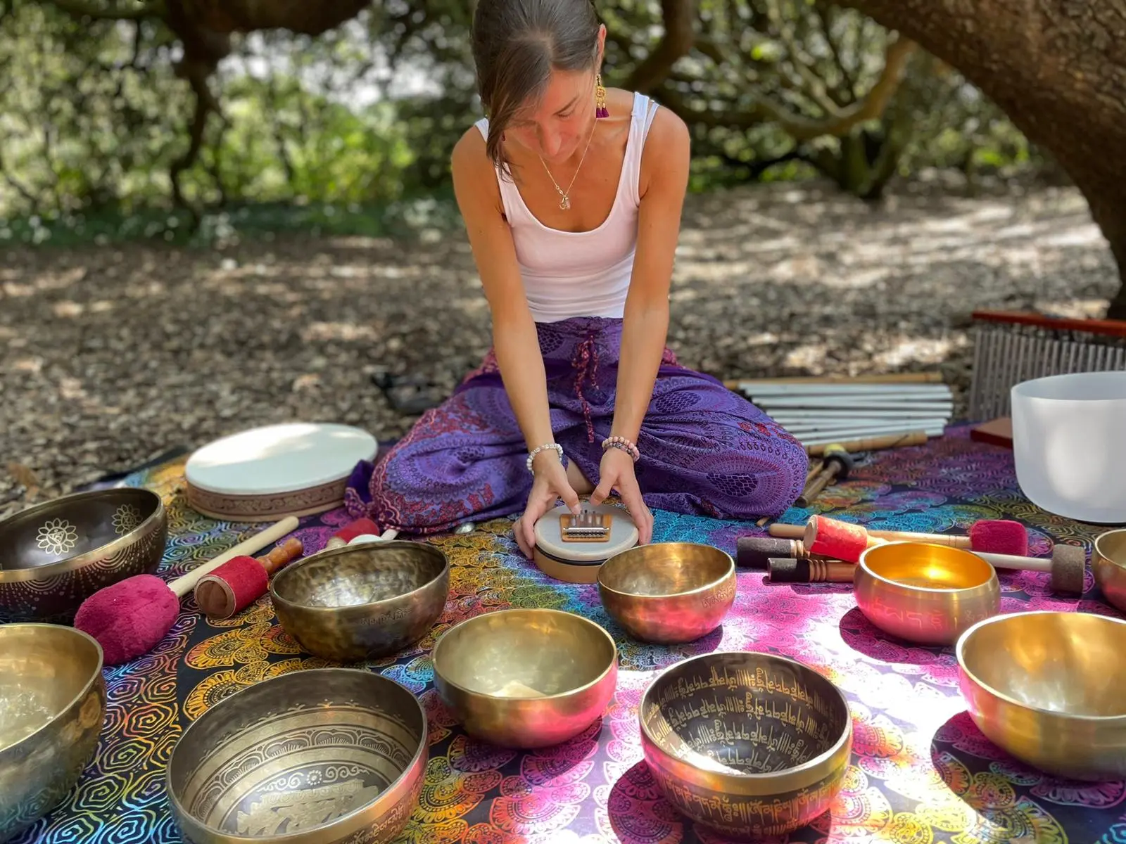 voyage sonore en nature